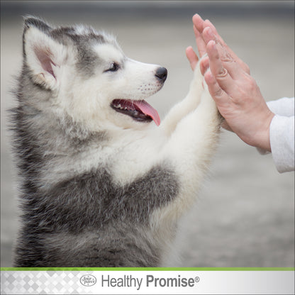 FOUR PAWS REMEDY PAW GUARD
