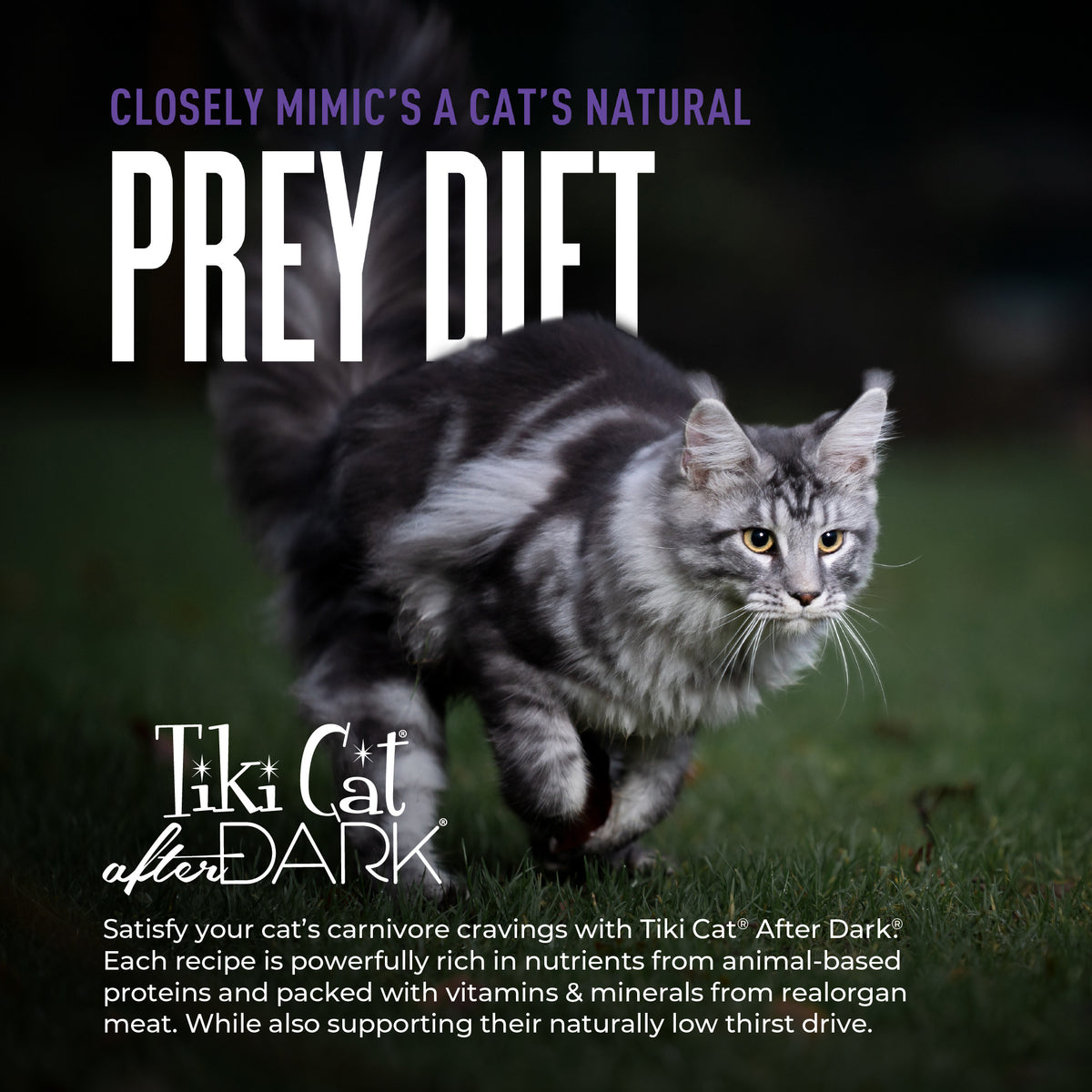 TIKI PET DARK SHRD CH QUAIL 3Z