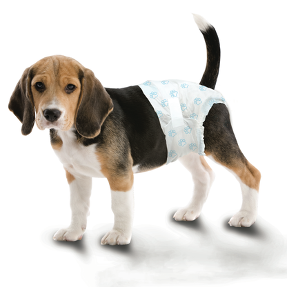 FOU DISPOSABLE DIAPER M 12PK