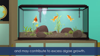 AQUEON ALGAE MAGNET SMALL
