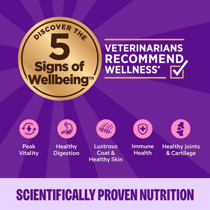 WELLNESS CAT CHIK CAN 12.5Z