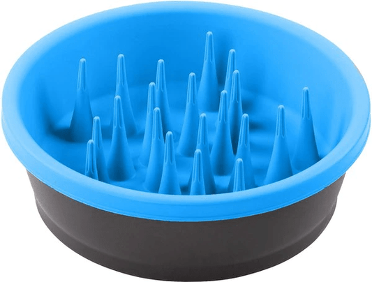 DEXAS SLOW FDR BLUE 6 CUP - RJ Paddywacks