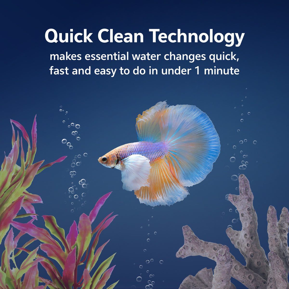 AQE BETTA BOW QUICK CLN KIT 1G