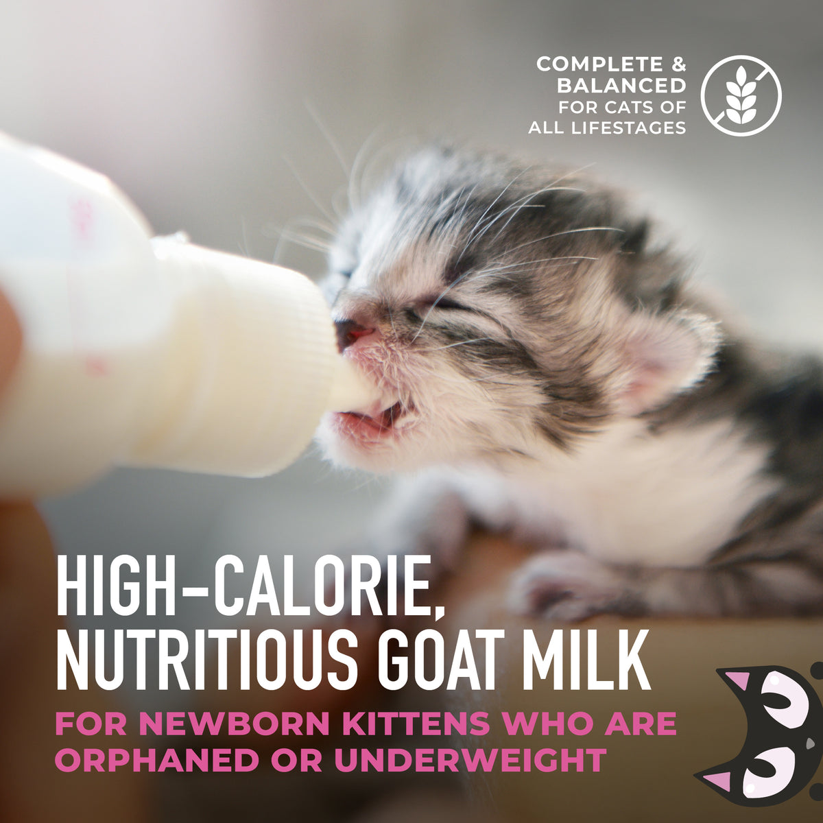 TIKI PET GOAT MILK REPLACEM 6Z