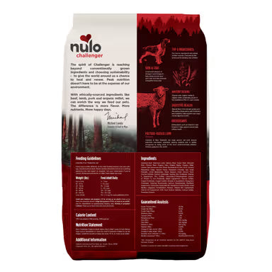 NULO CHALLENGER ALPINE RCH 24#