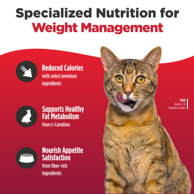 NULO CAT TRIM SALMON/LENTIL 2#