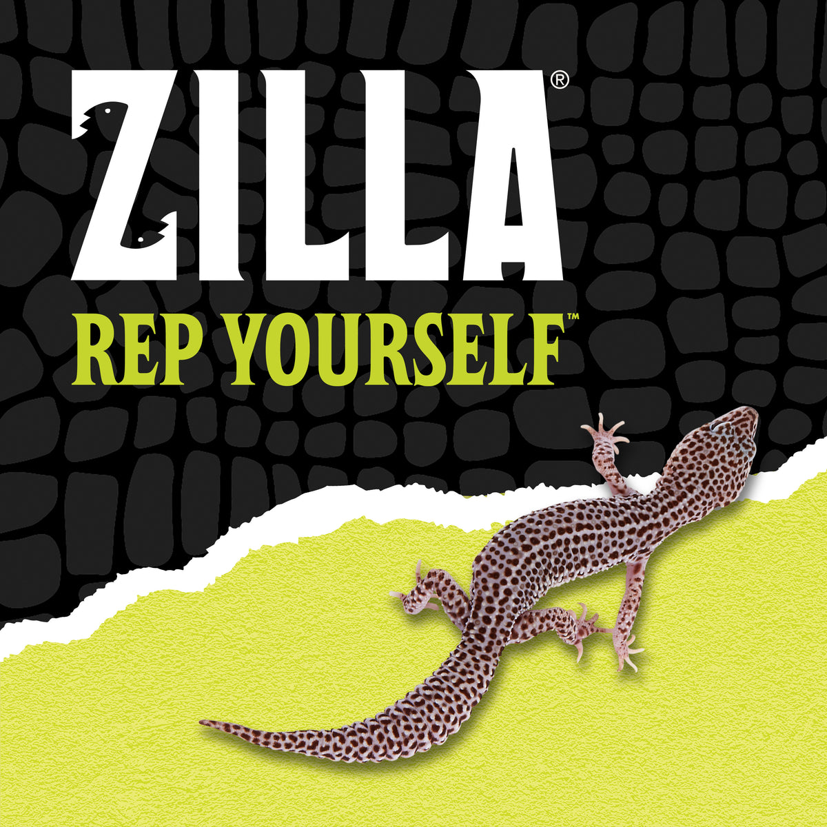 ZILLA DEN SHALE ROCK MED
