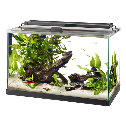 AQE RIMLESS TANK RECT 10G