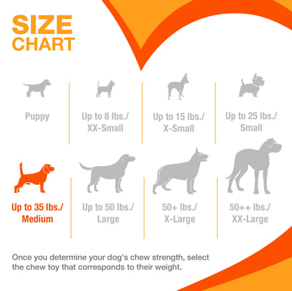 NYLABONE POWER CHW BONE CH M
