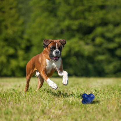 NYLABONE CRAZY BALL L