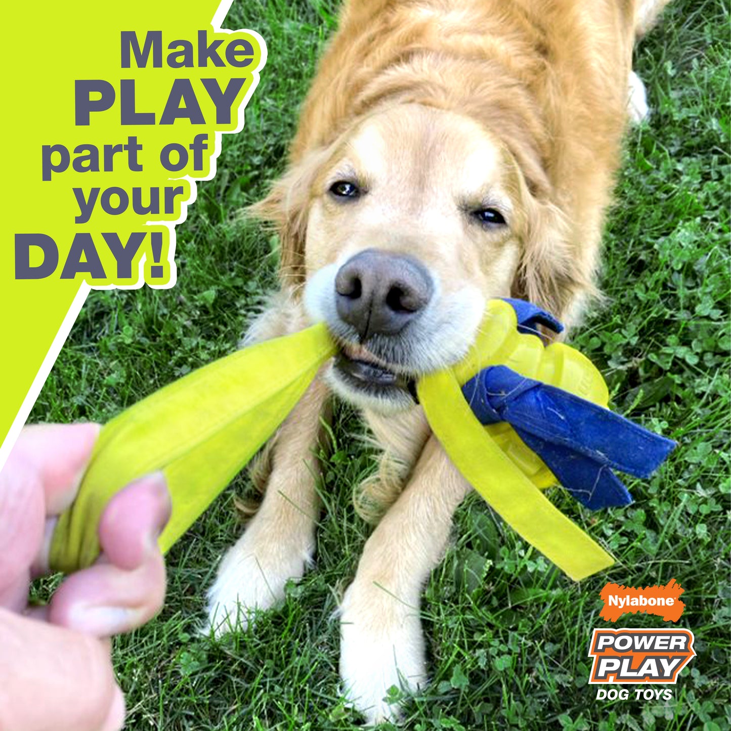 NYLABONE CRAZY BALL L