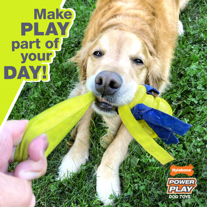 NYLABONE CRAZY BALL L