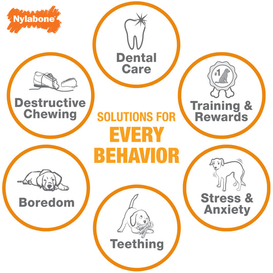 NYLA DURA DENTAL DINO CH S