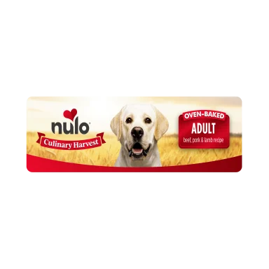 NULO CULINARY PRK/BF/LMB 10#