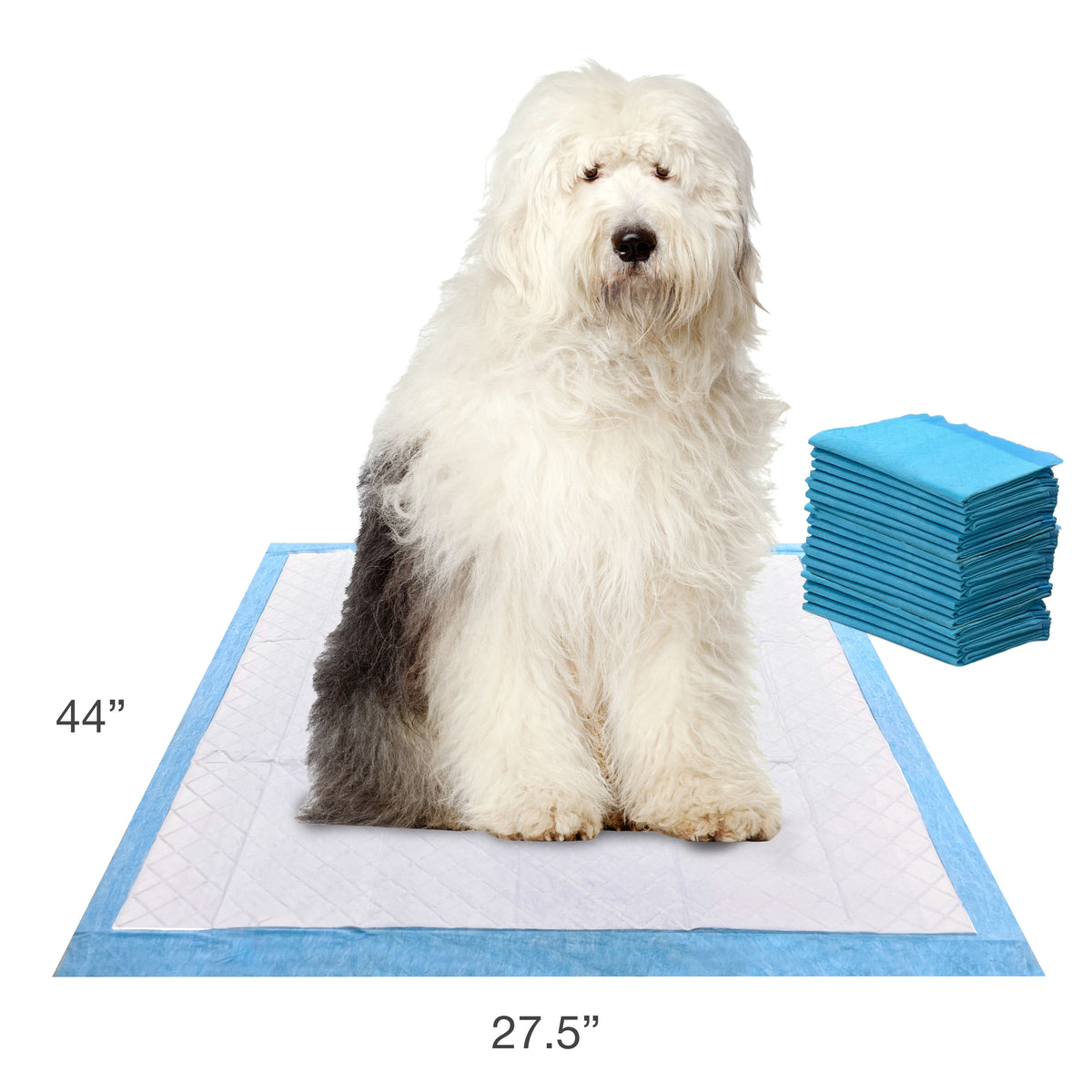FOUR PAWS WEE WEE GIGANTIC 18