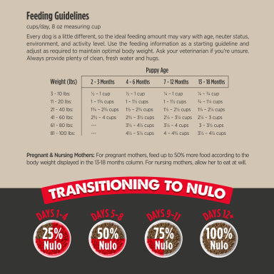 NULO CULINARY PUP CH/WHFSH 10#