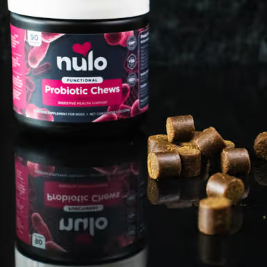 NULO PROBIOTIC CHEW 9.5 OZ