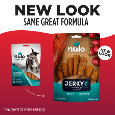 NULO FREESTYLE SALMON JERKY 5Z