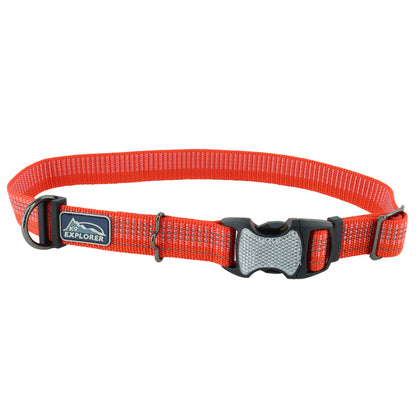 K9 BRIGHTS CLR 5/8"X8-12 CYN