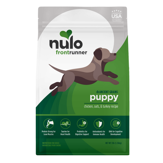 NULO FRONTRUNNER PUPPY 3#
