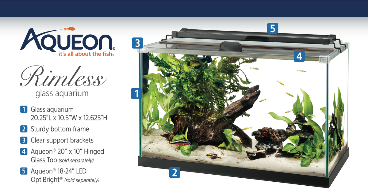 AQE RIMLESS TANK RECT 10G
