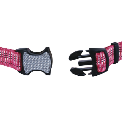 K9 BRIGHTS CLR 1"-12X18 BSM
