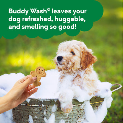 BUDDY WASH 2 IN 1 GRN TEA 16Z
