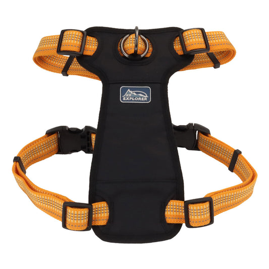 K9 BRT 5/8" HRN DESERT 24