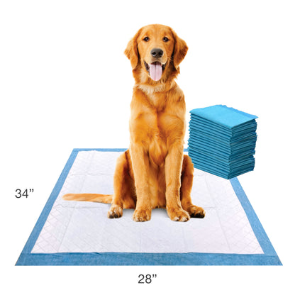 FOUR PAWS WEE WEE PADS XL 21 P