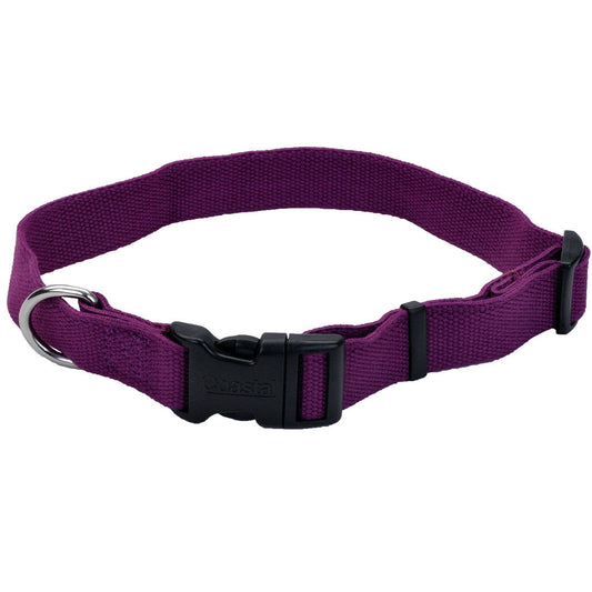 COASTAL SOY 1" CLR EGGPLANT