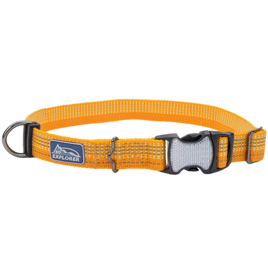 K9 BRT 1" COLLAR DESERT