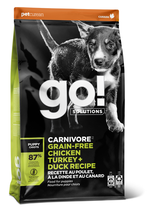 GO! GF CH/TUR/DCK PUPPY 22#
