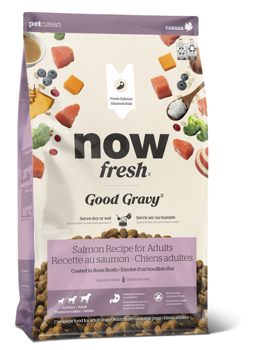 NOW GOOD SALMON GRAIN 3.5# DOG