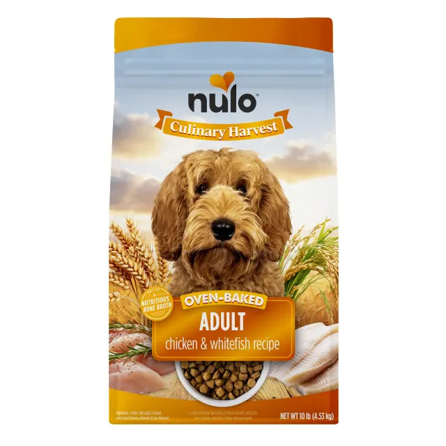 NULO CULINARY HAR CH/WHFSH 10#