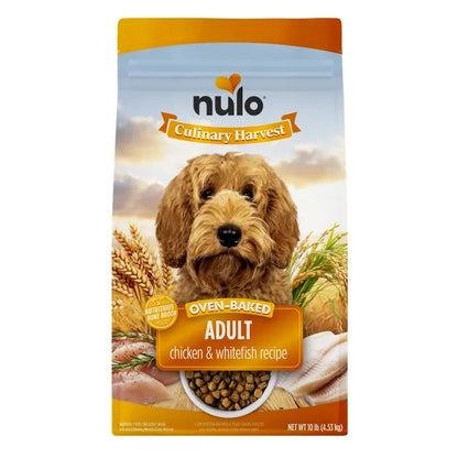NULO CULINARY HAR CH/WHFSH 10#
