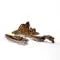 GALAPAGOS SINK DRIFTWOOD - RJ Paddywacks