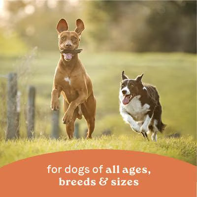 CANIDAE ALS STEW CH/VEG 12.7Z