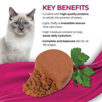 FUSSIE CAT FINE MOUSSE SARDINE