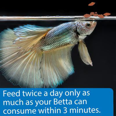 API BETTA FLAKES .36Z