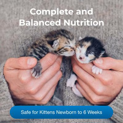 PetAg KMR Kitten Milk Replacer Powder for Kittens, 12-oz can