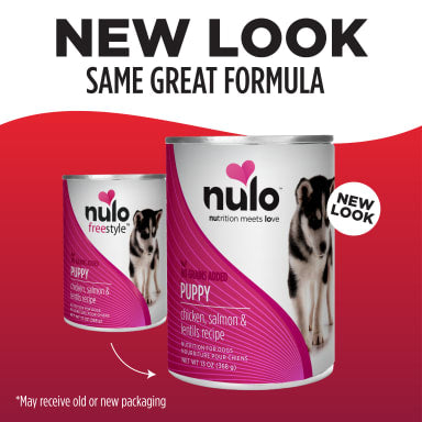 NULO FREESTYLE PUPPY CK/SLM/LT