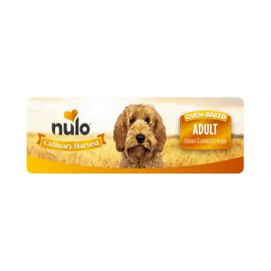 NULO CULINARY HAR CH/WHFSH 10#