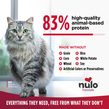 NULO GF CAT/KITTEN CHICKEN 12#