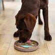 Messy Mutts Mountain Scene 8" Silicone Therapeutic Dog Lick Bowl-Interactive Dog Feeder - RJ Paddywacks