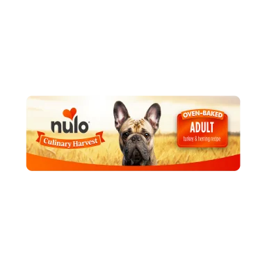 NULO CULINARY HARV TUR/HER 10#