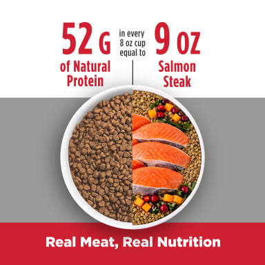 NULO CAT TRIM SALMON/LENTIL 2#