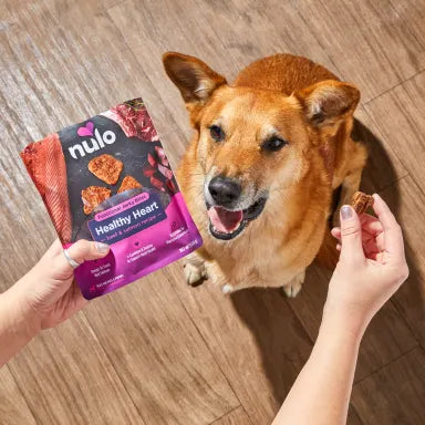 NULO JERKY HRT HLTH BF/SLM 5Z