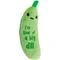 PETSTAGES CRNCH PICKLE CATNIP - RJ Paddywacks