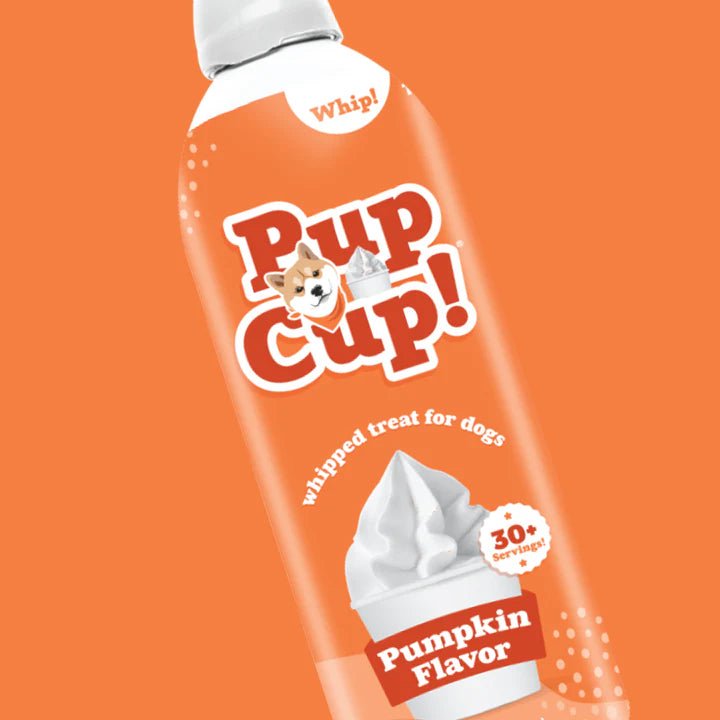 POP CUP FRZN WHPD CREAM PM 13Z - RJ Paddywacks