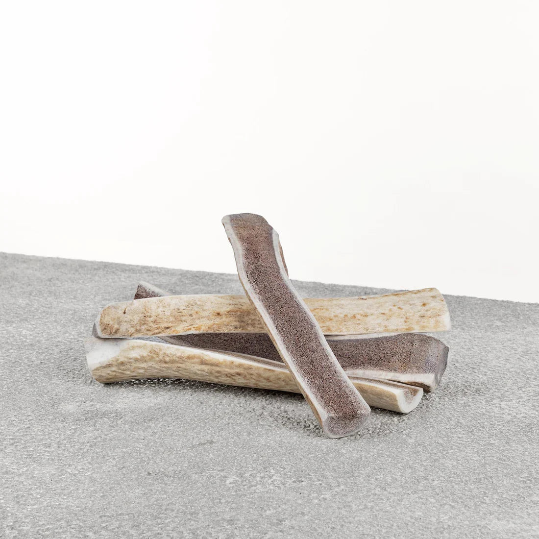 PRIMAL ELK ANTLER L - RJ Paddywacks